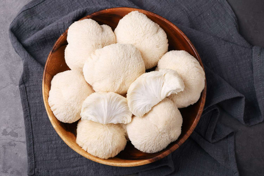 Lion's mane Dosage Guide
