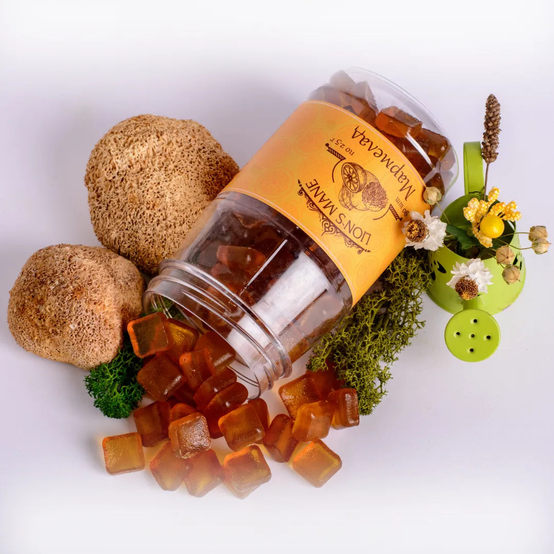 Lion’s Mane Mushroom Gummies