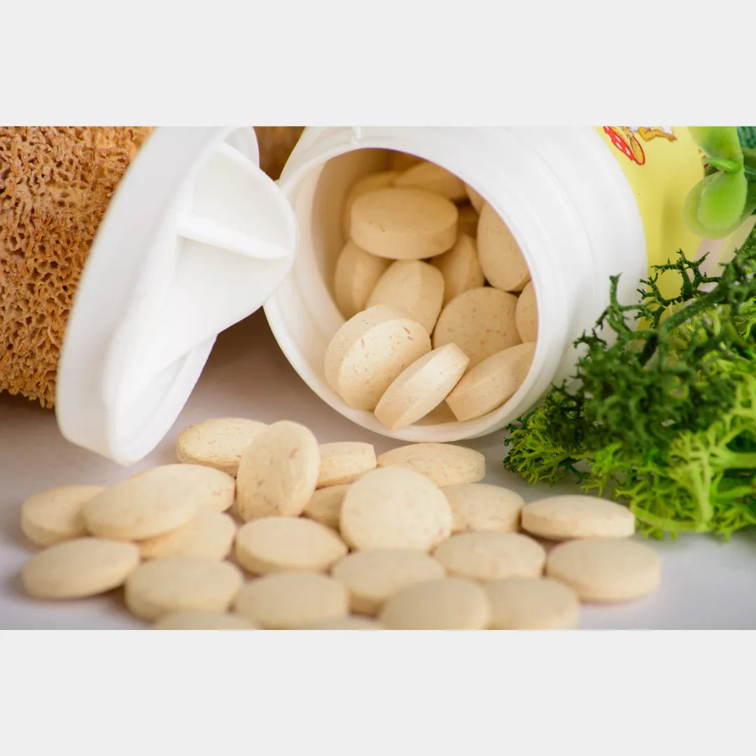 Shop Lion’s Mane 10:1 extract, vegan capsules, powder & whole dried mushrooms. 100% fruiting body, no fillers. Pure, forest-harvested. Order today!