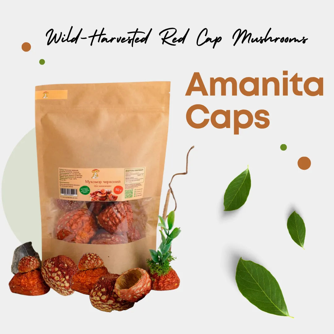 Amanita Dried