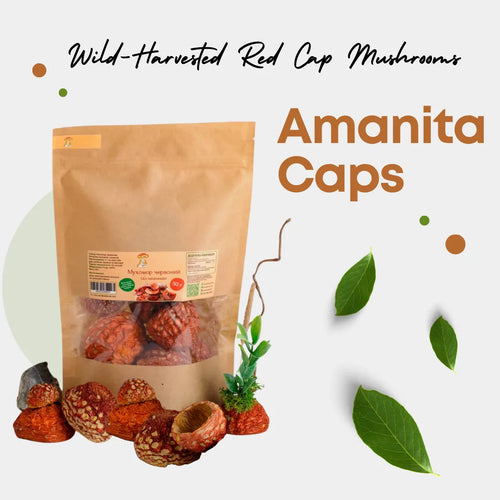 Amanita Dried