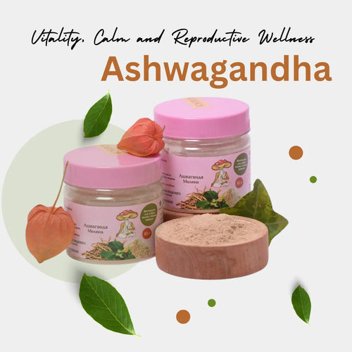 Explore Ashwagandha root powder & 500mg capsules 🌿 Vegan, no fillers. Plant-based calm from a time-honored Ayurvedic tradition. Shop energy support today.