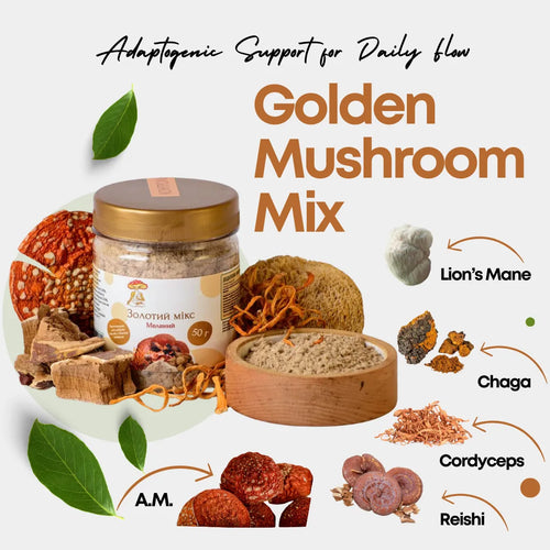 Daily blend of Lion’s Mane, Reishi, Cordyceps, Chaga & Amanita Muscaria mushrooms. Available in capsules or powder. 100% vegan. Start your ritual today. 