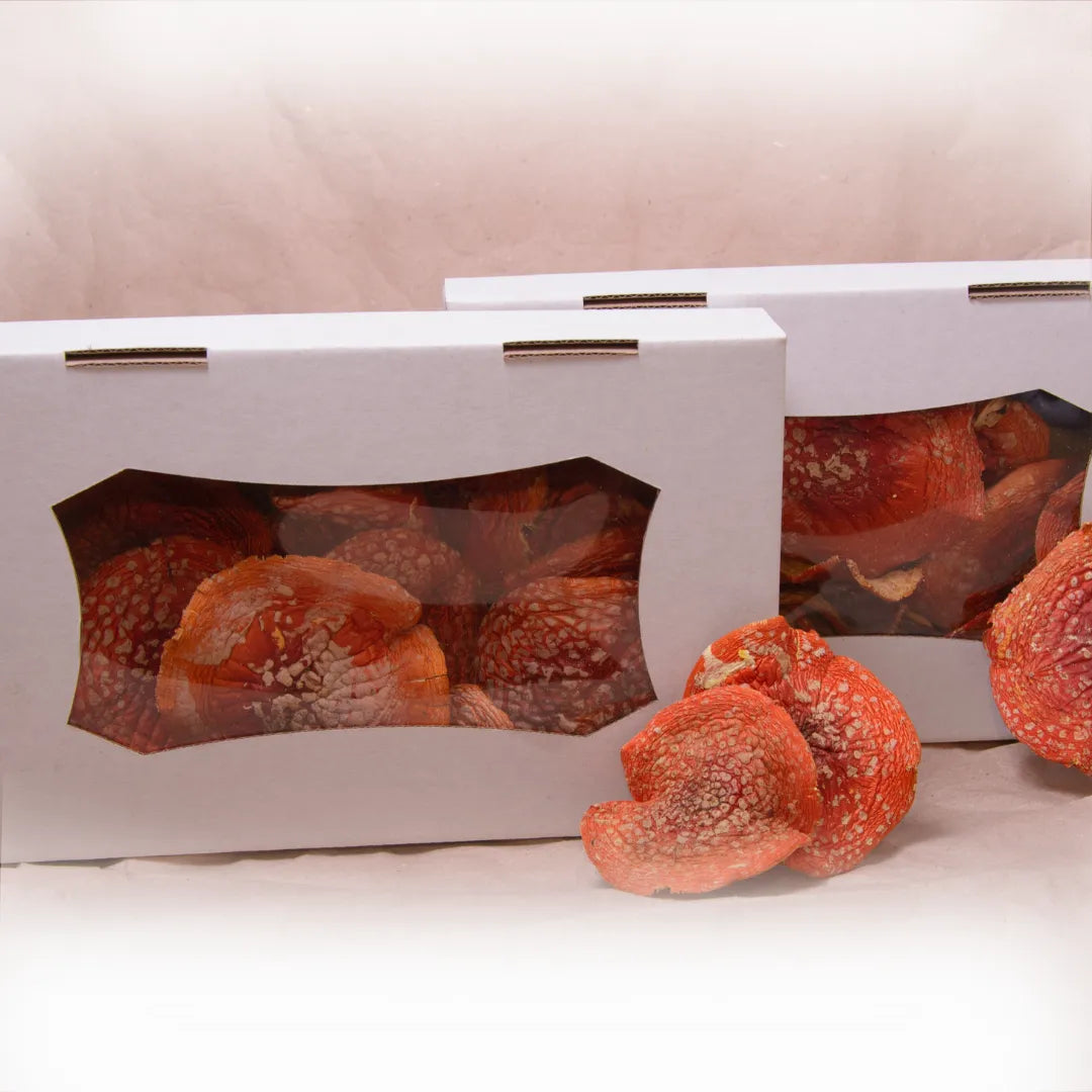 Amanita Dried