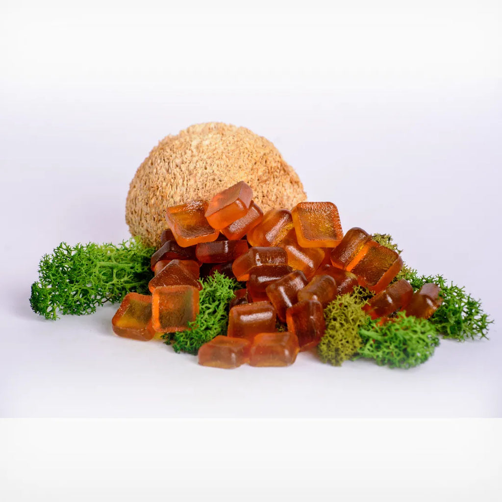 Lion’s Mane Mushroom Gummies