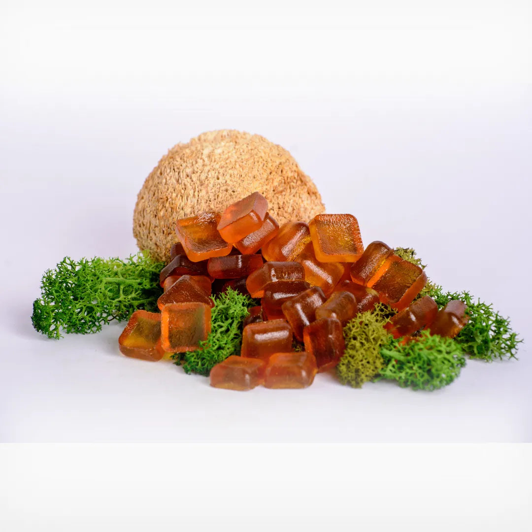 Lion’s Mane Mushroom Gummies