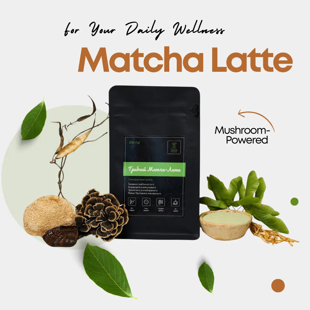 Discover our vegan matcha latte with ceremonial green tea, coconut cream & 4 functional mushrooms. Enjoy a smooth, plant-based blend for daily moments.
